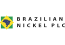 brazilian-logo.png